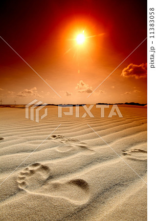 desert footprint 11383058