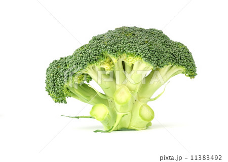 broccoli 11383492
