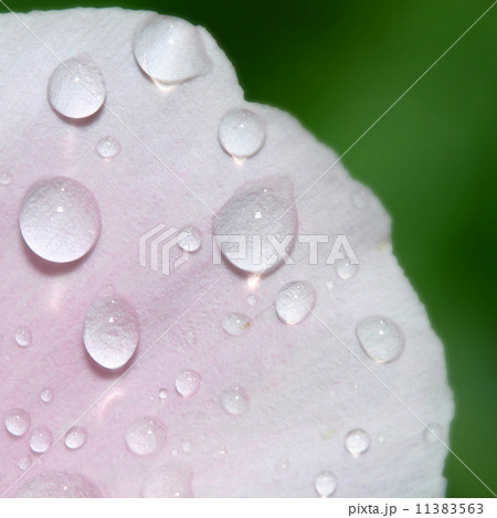 natural waterdrop natural waterdrop 11383563