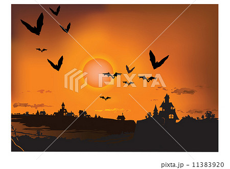 sunset with silhouette bat sunset with silhouette bat 11383920