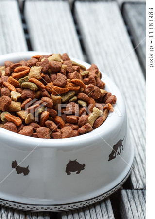 dog food 11383983
