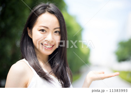 案内する女性 案内する女性 11383993