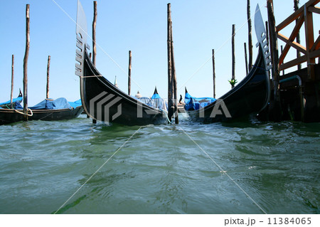 Venice Venice 11384065