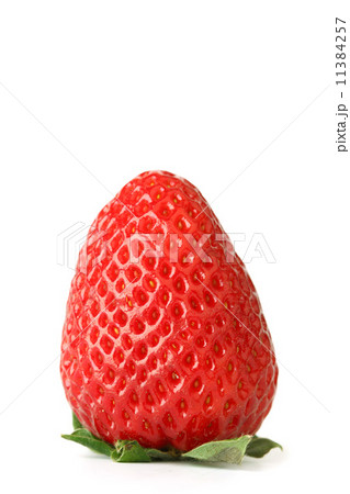 one strawberry one strawberry 11384257