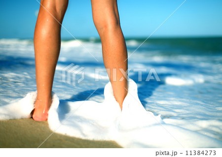 see on ocean 11384273