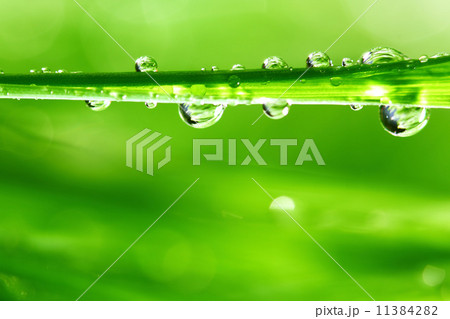 big water drop 11384282