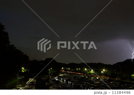 夕立の中の雷 11384496