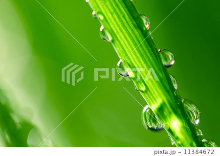 big water drop big water drop 11384672