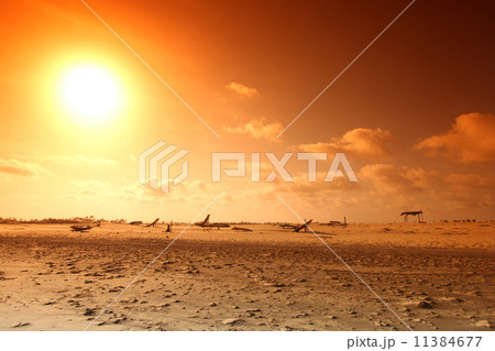 desert desert 11384677