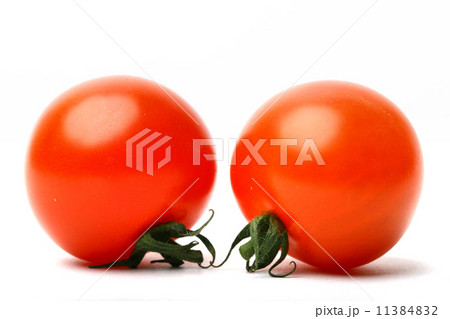 isolated tomato 11384832