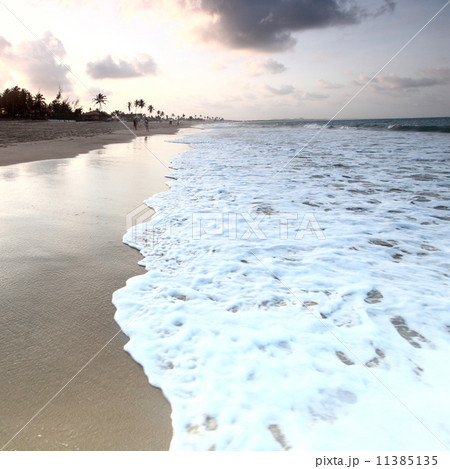 ocean ocean 11385135