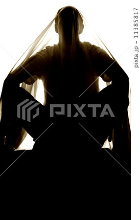 man figure man figure 11385817