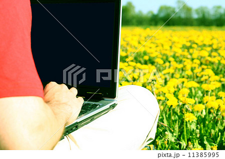 laptop nature work 11385995