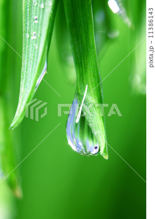 big water drop 11386143