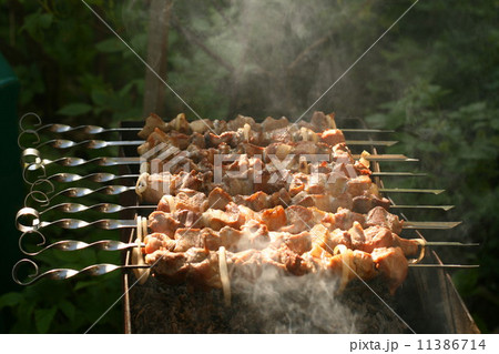 Shish kebab 11386714