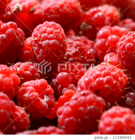 raspberry background 11386942