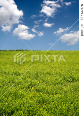 happy landscape 11386970