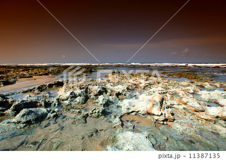 Reef Reef 11387135