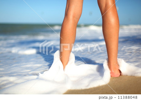 see on ocean see on ocean 11388048