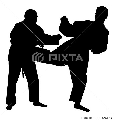 Karate fight 11389873