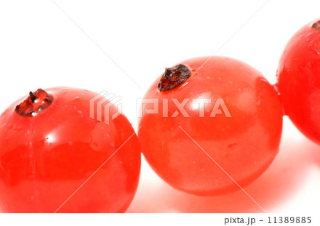 red currant 11389885