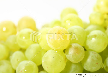 isolated grape isolated grape 11389890