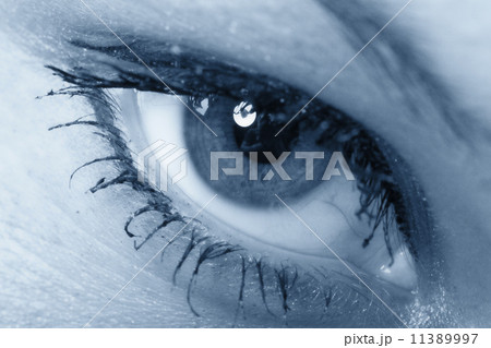eye eye 11389997