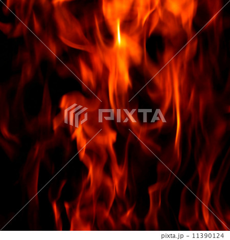 fire fire 11390124
