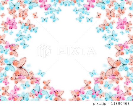 butterfly butterfly 11390463