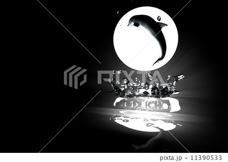 dolphin 11390533