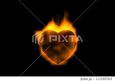 heart heart 11390563