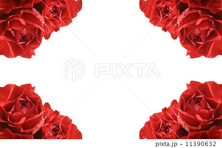 flower flower 11390632
