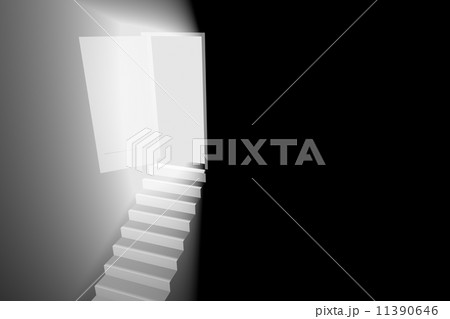 light door light door 11390646