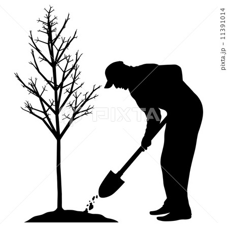 Planting a tree 11391014