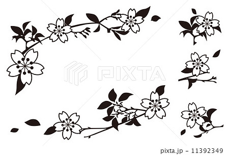 美しい花の画像 50 桜 イラスト 枠 白黒