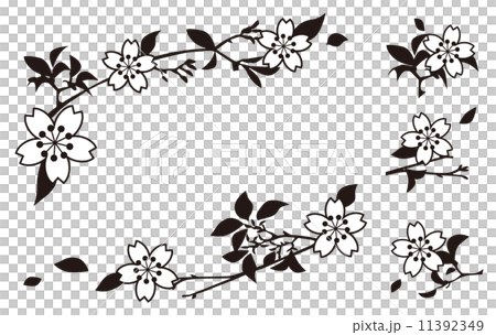 Sakura illustration 11392349