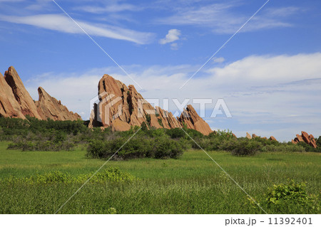 ロックスボロー州立公園 11392401