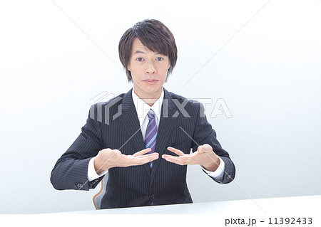 手振りで説明する男性会社員 11392433