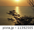 海に映る朝日　（京都府与謝群で撮影） 11392505
