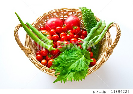 採れたて夏野菜 採れたて夏野菜 11394222