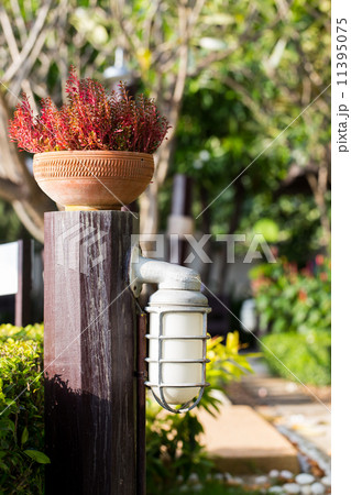 Flower Pot placed on the wood Flower Pot placed on the wood 11395075