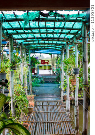 Pathway of the park 11395701