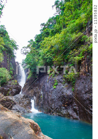 Nature of waterfall in the forest Nature of waterfall in the forest 11395832
