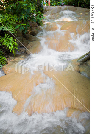 Nature of waterfall in the forest Nature of waterfall in the forest 11395833