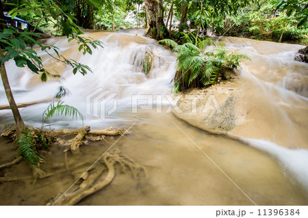 Nature of waterfall in the forest 11396384
