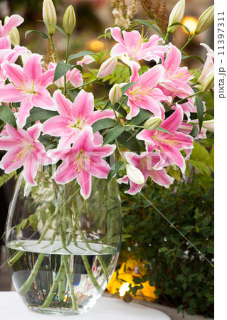 Bouquet of pink lilies 11397311