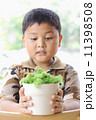 The boy is happy. With small trees. 11398508
