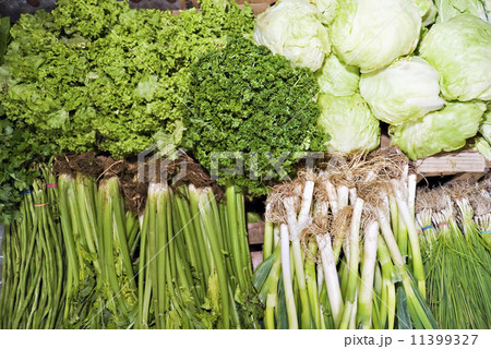 Green Vegetables Green Vegetables 11399327