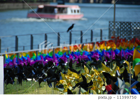 風車 風車 11399750
