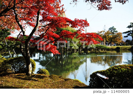 紅葉の兼六園 紅葉の兼六園 11400005